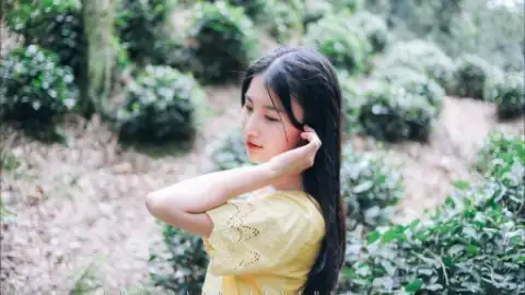 网约车司机报警